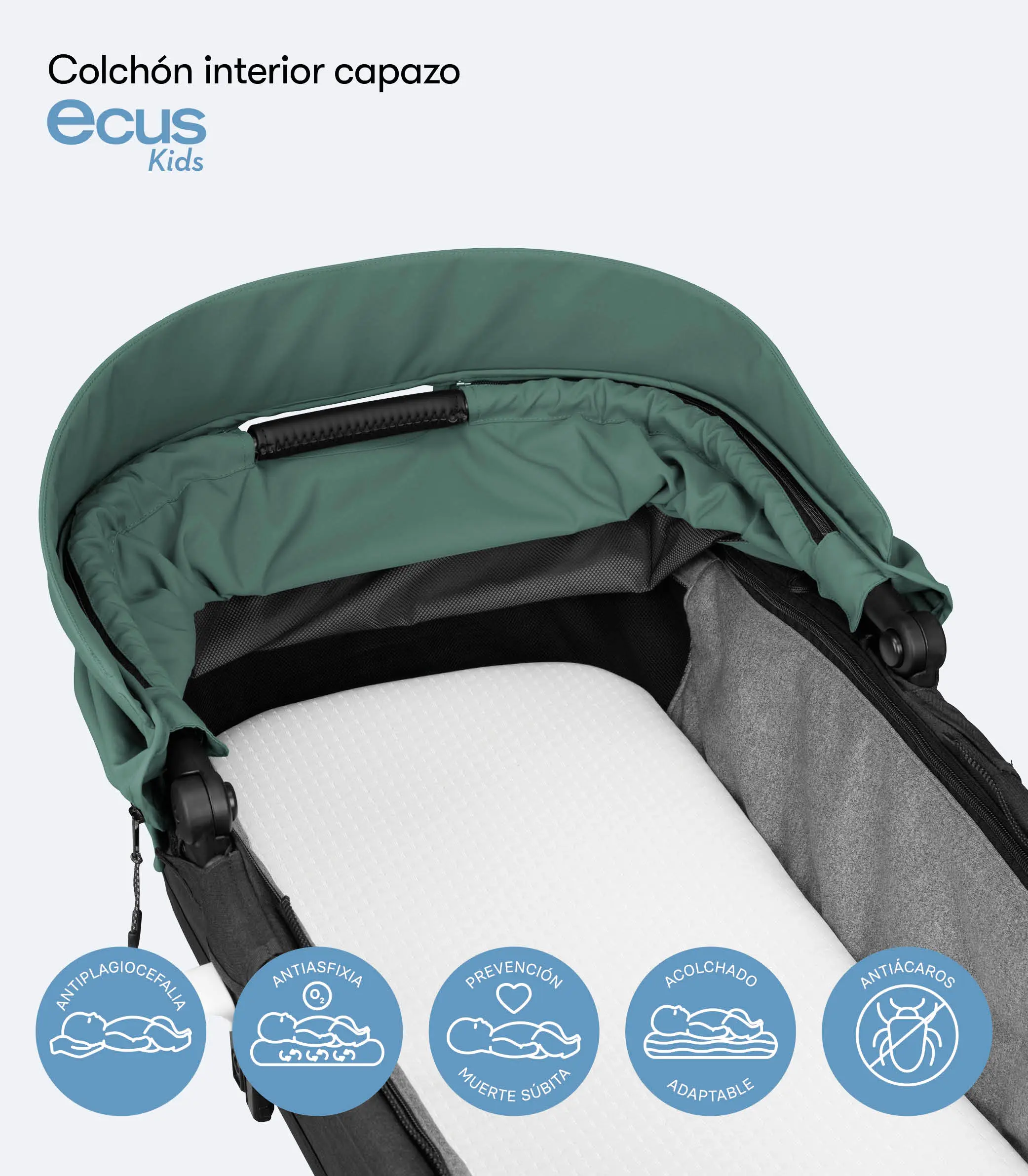 MUN 5 VERD imagenes galeria14