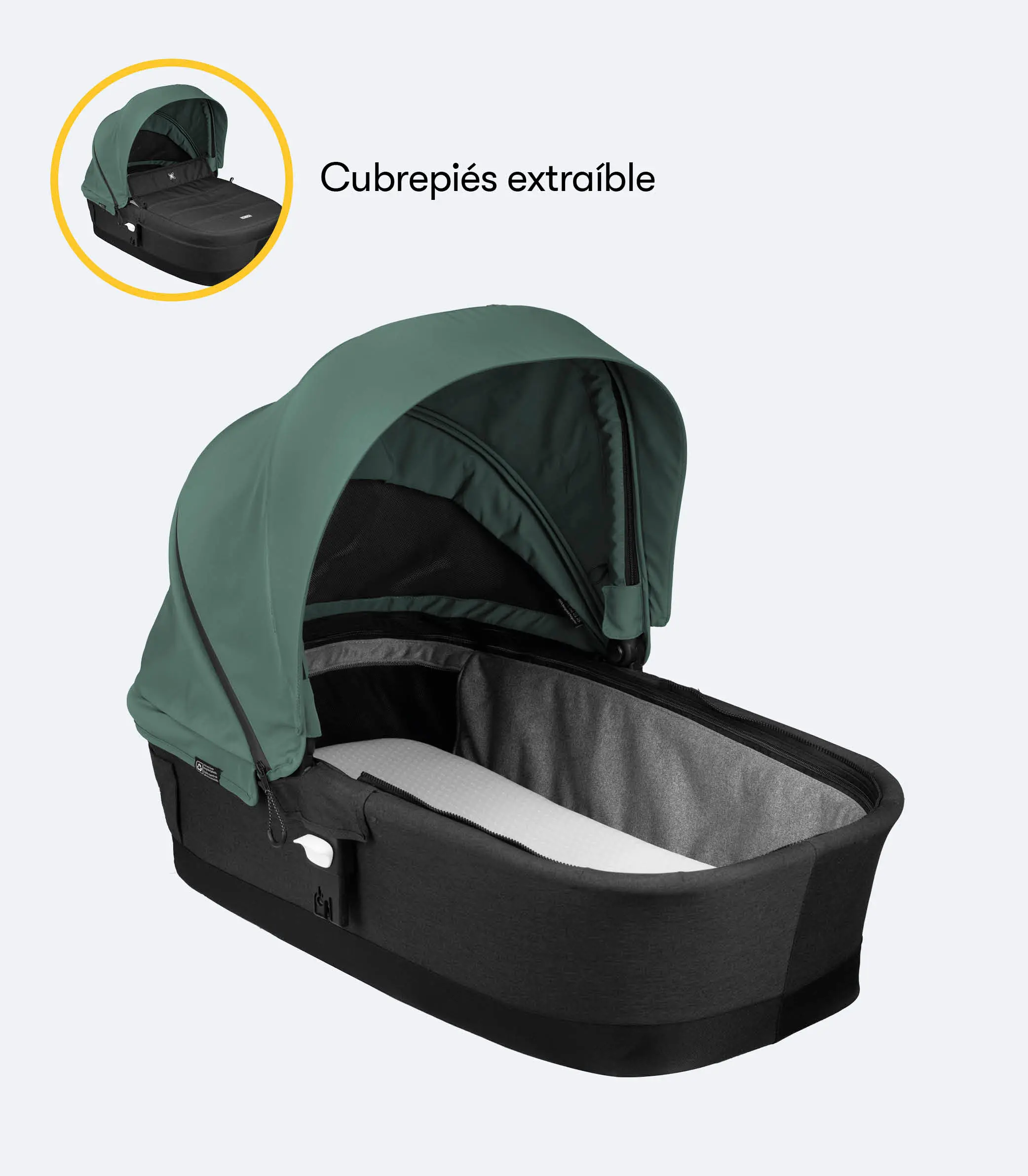 MUN 5 VERD imagenes galeria17