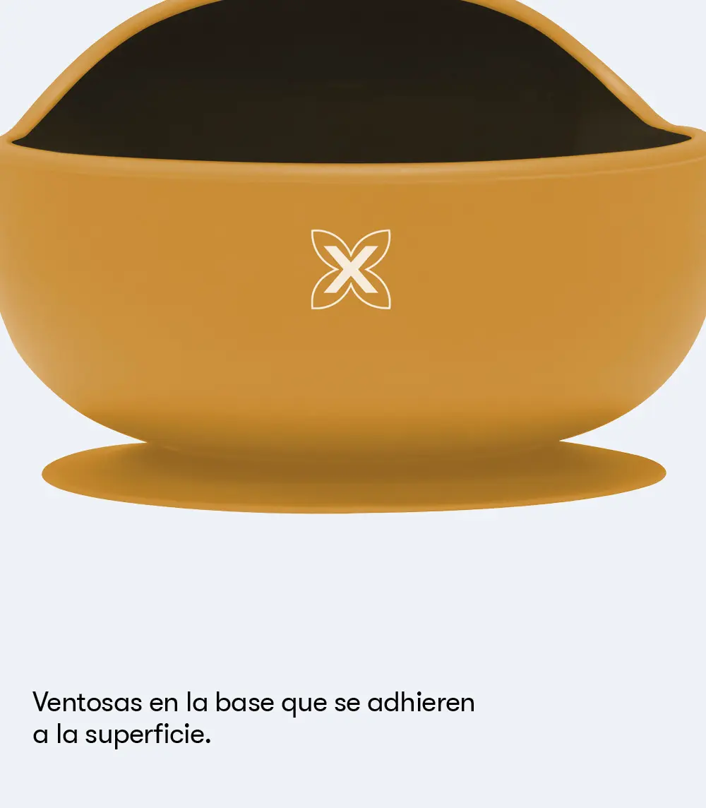 MUN 50 SET DE VAJILLA VENTOSA